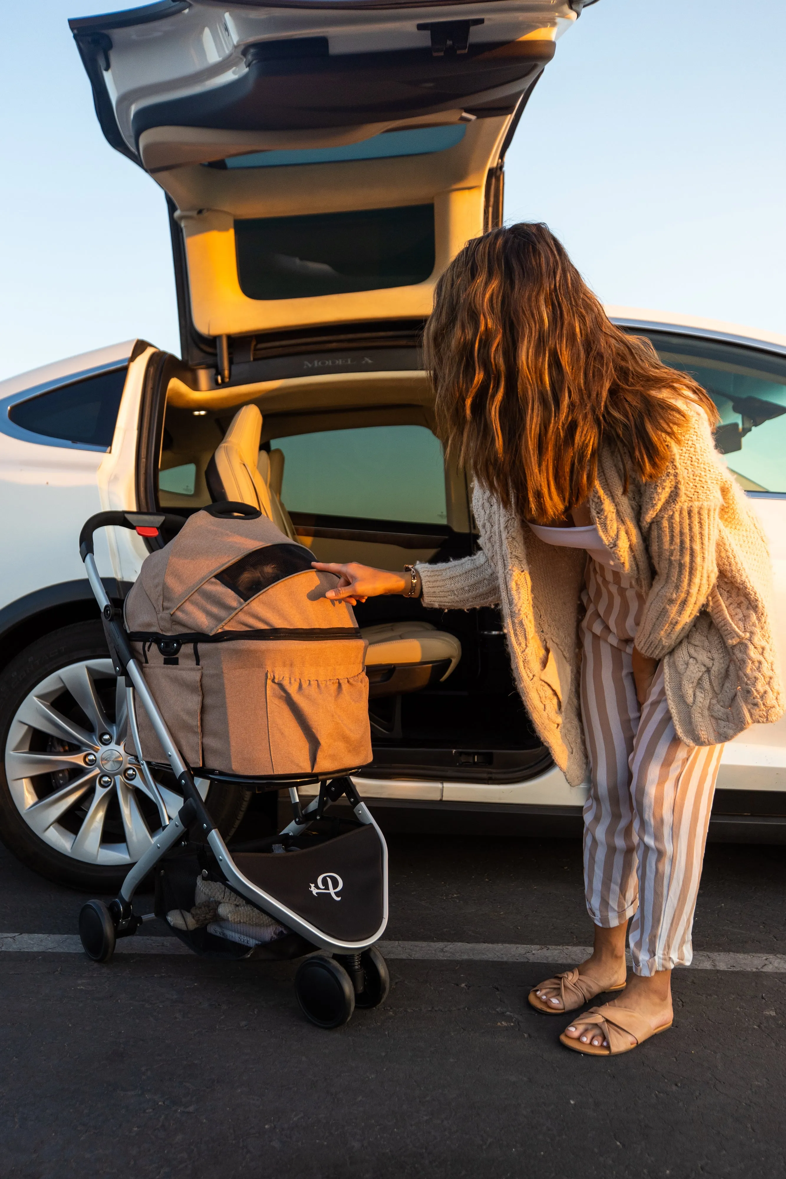 3-in-1 Newport Pet Stroller (Travel Carrier   Car Seat   Stroller), Easy Trifold/Unfold, 360º Front Rotating Wheel, Small/Medium Dogs, Cats and Pets, Supports up to 45LBS