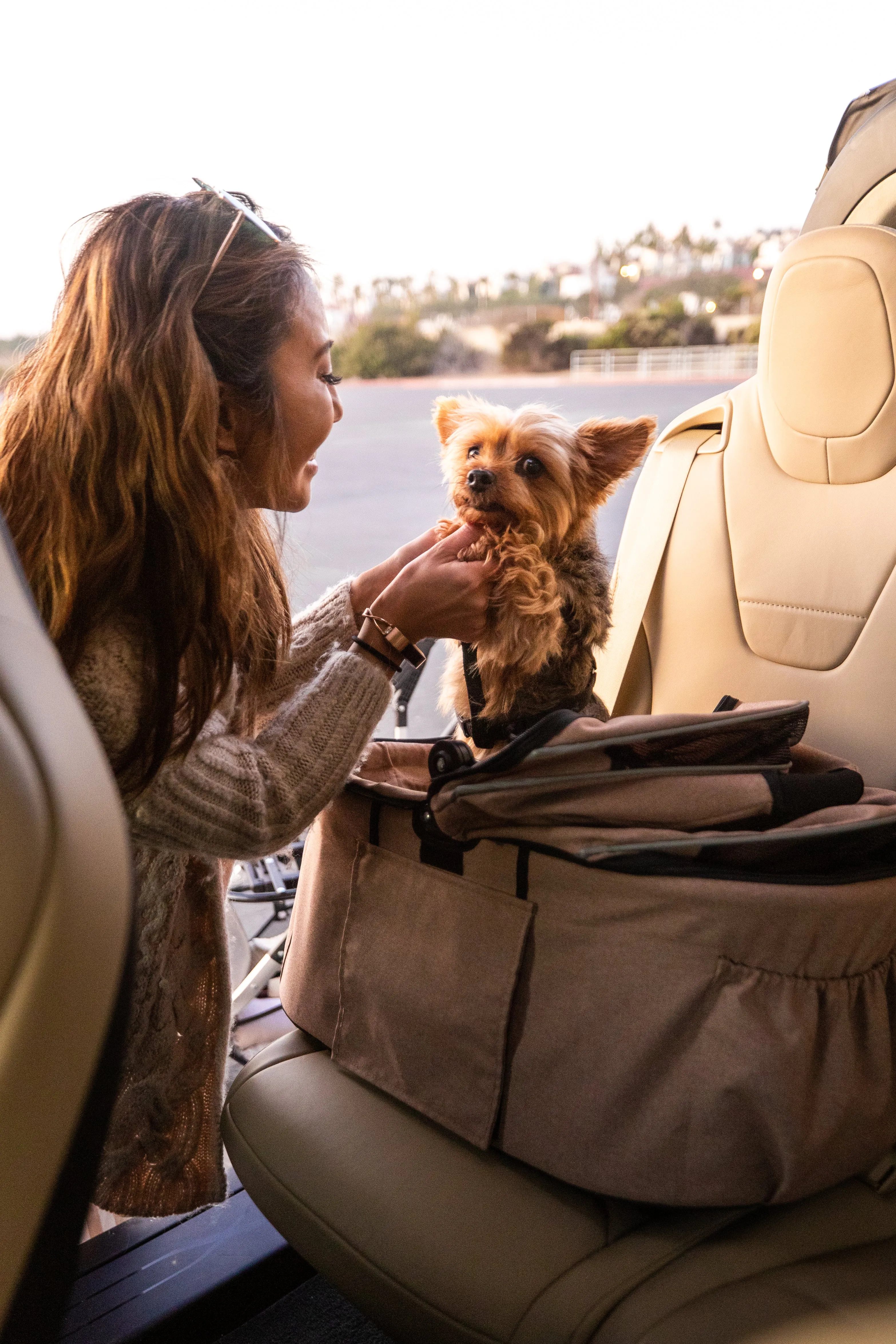 3-in-1 Newport Pet Stroller (Travel Carrier   Car Seat   Stroller), Easy Trifold/Unfold, 360º Front Rotating Wheel, Small/Medium Dogs, Cats and Pets, Supports up to 45LBS