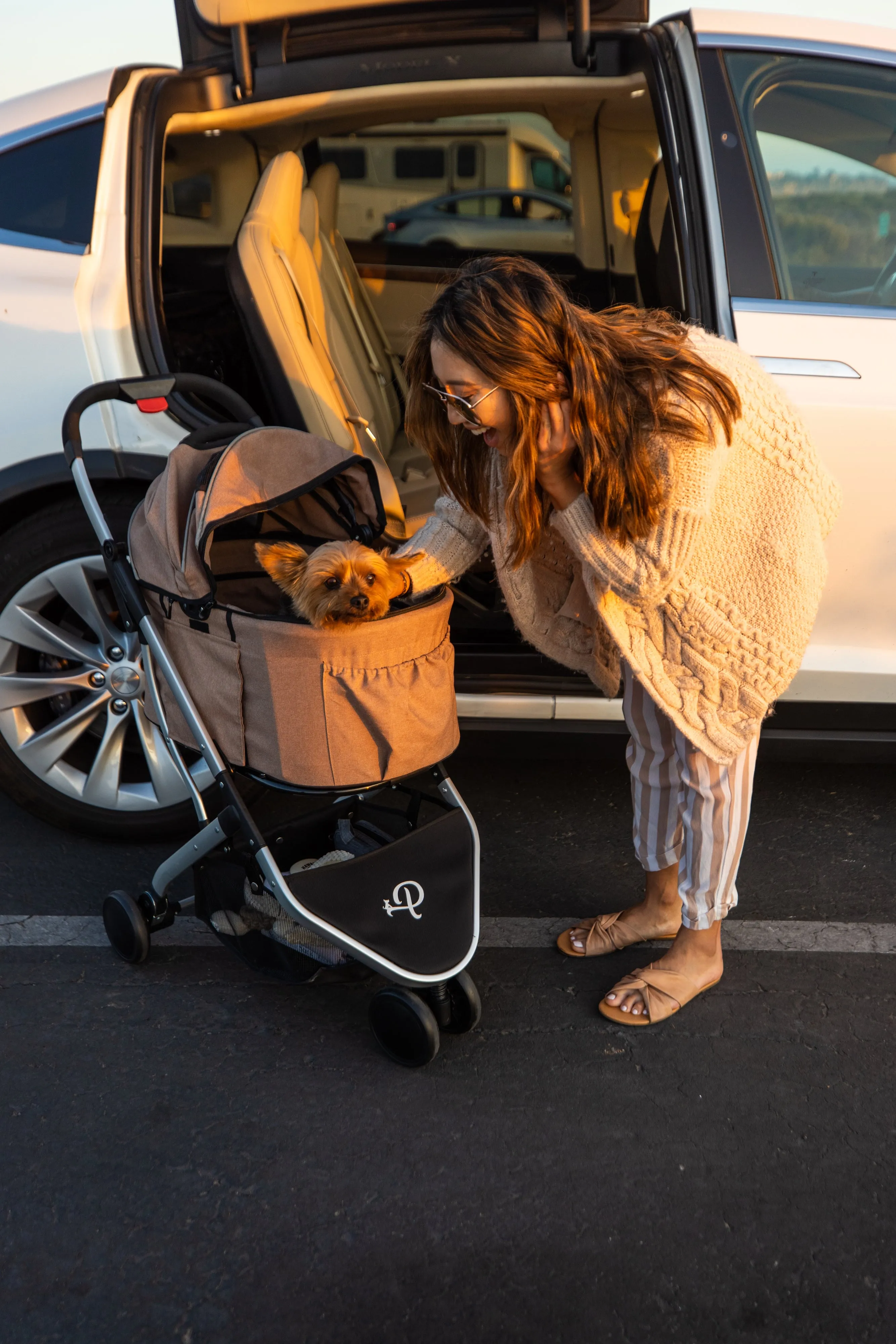 3-in-1 Newport Pet Stroller (Travel Carrier   Car Seat   Stroller), Easy Trifold/Unfold, 360º Front Rotating Wheel, Small/Medium Dogs, Cats and Pets, Supports up to 45LBS