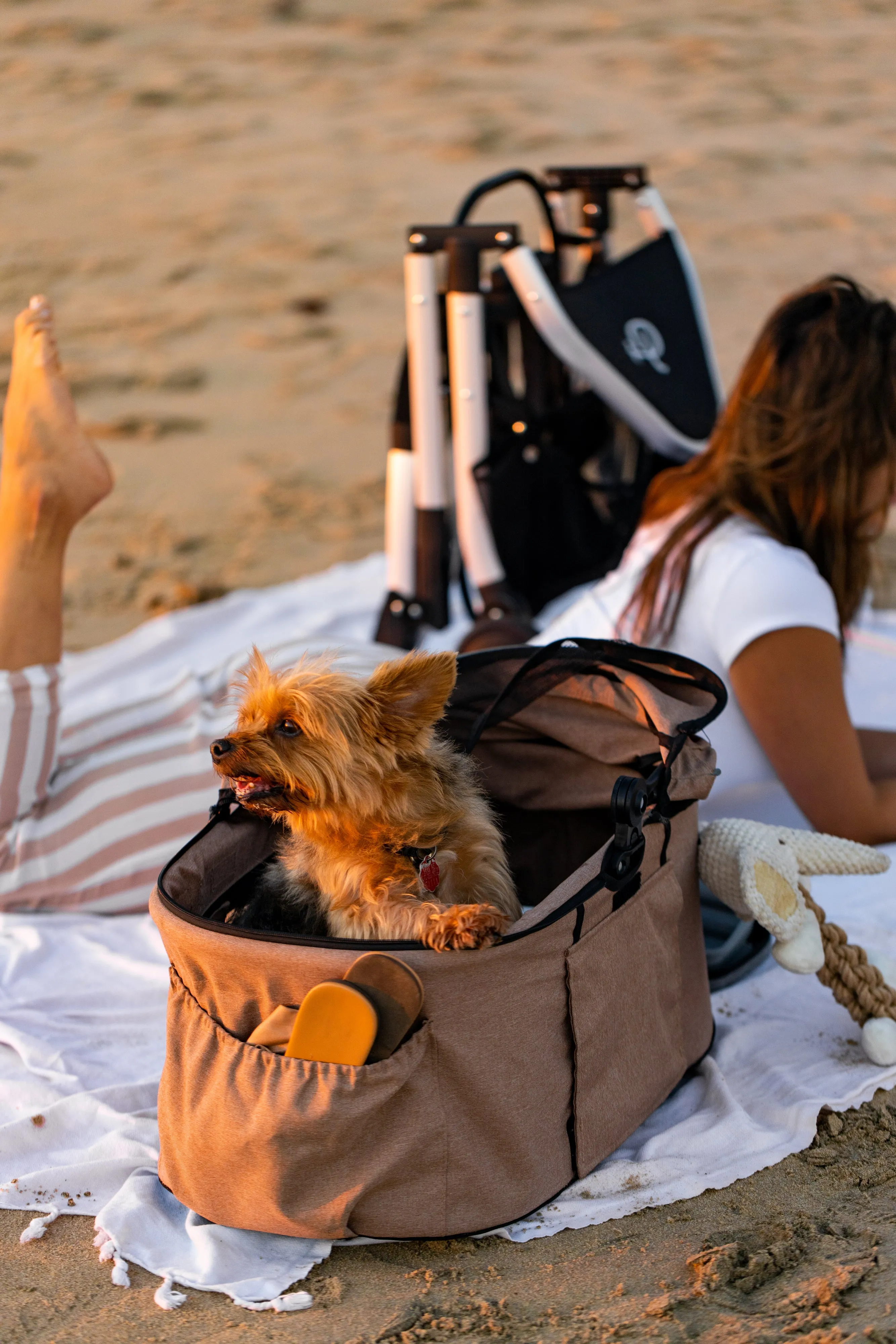 3-in-1 Newport Pet Stroller (Travel Carrier   Car Seat   Stroller), Easy Trifold/Unfold, 360º Front Rotating Wheel, Small/Medium Dogs, Cats and Pets, Supports up to 45LBS