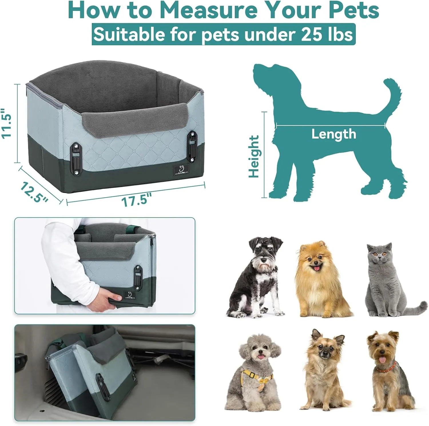 A4Pet Dog Car Seats, Small Dog Car Seat with Patent Buckles, Suitable for Small Dogs and Cats Under 25 Lbs, Clip-On Safety Leash, Fits Most Cars Green