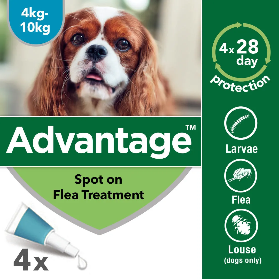 Advantage 100 Spot On Flea Control - Medium Dogs 4-10kg (4 Pipettes)