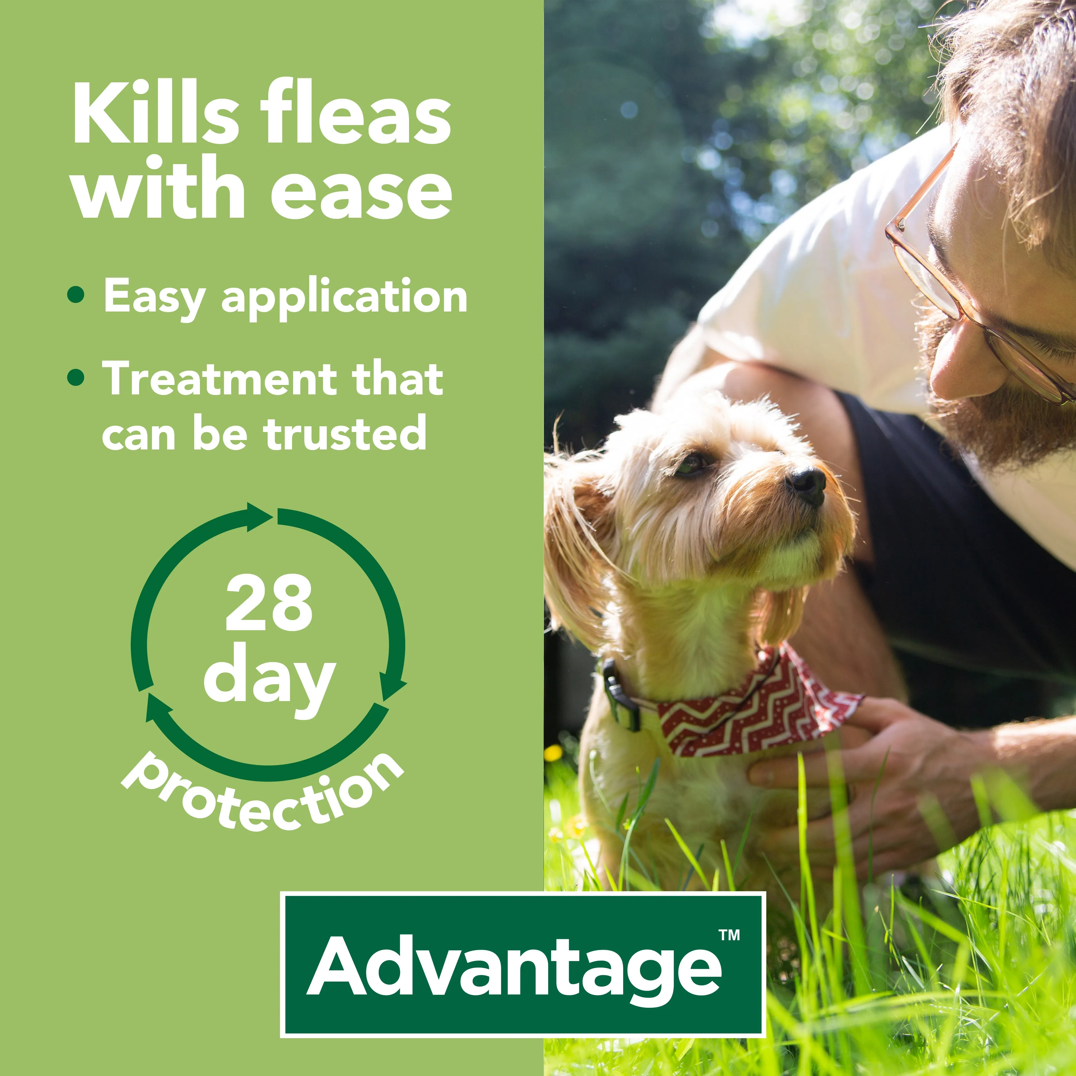 Advantage 100 Spot On Flea Control - Medium Dogs 4-10kg (4 Pipettes)