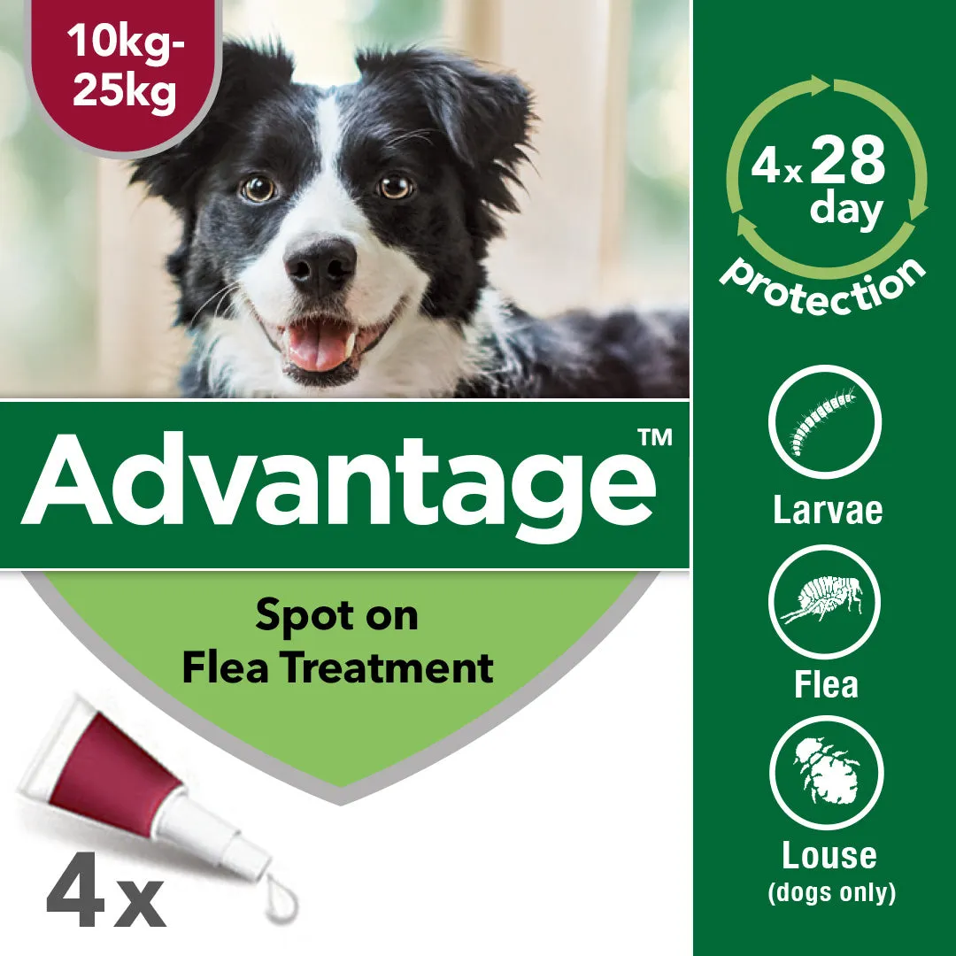 Advantage 250 Spot On Flea Control - Large Dogs 10-25kg (4 Pipettes)