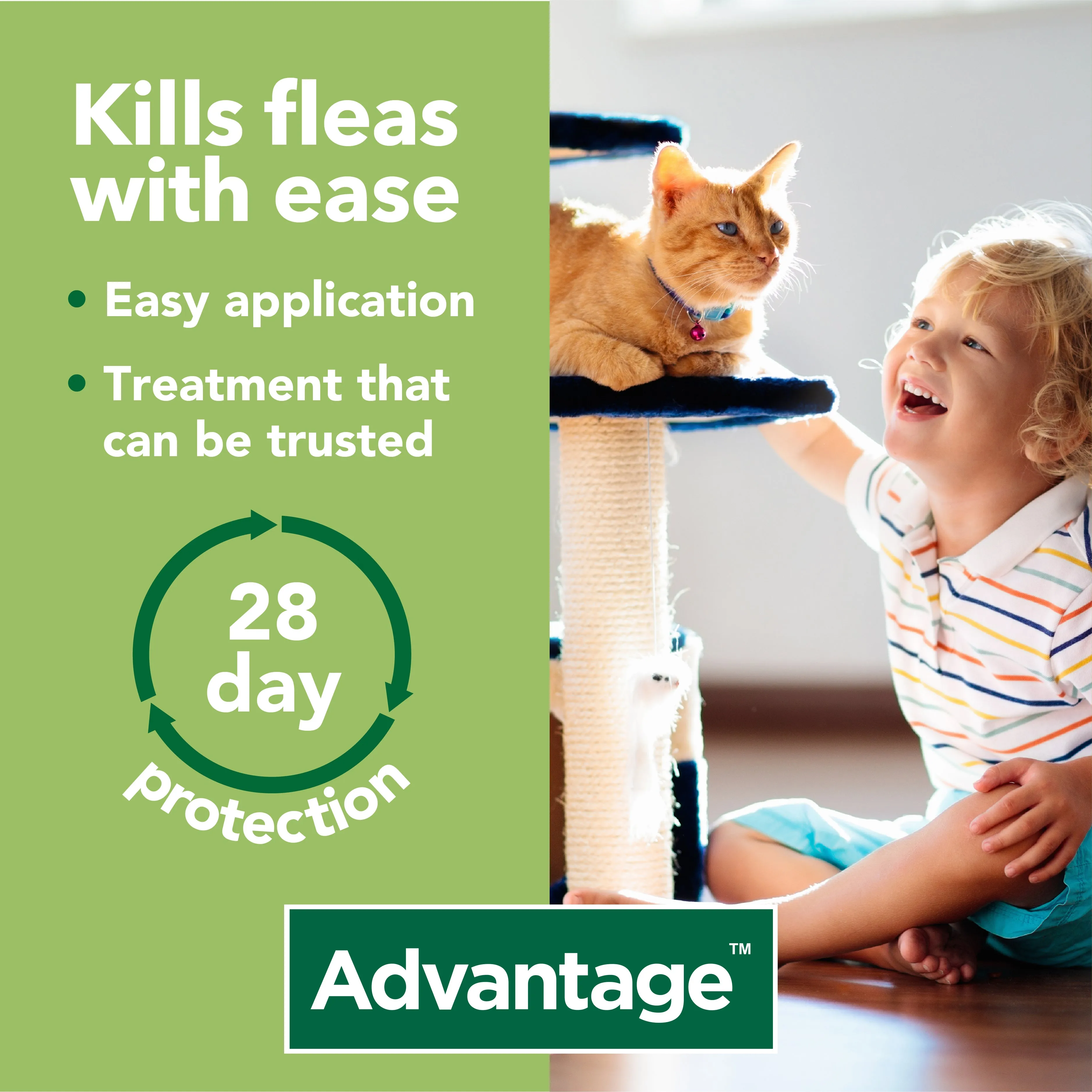 Advantage 80 Spot On Flea Control - Large Cats & Rabbits > 4kg (4 Pipettes)