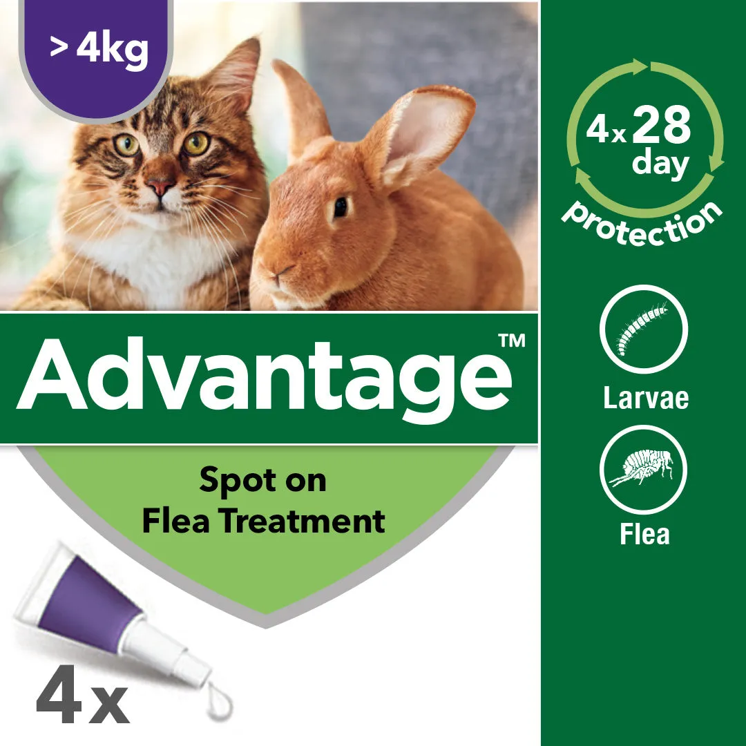 Advantage 80 Spot On Flea Control - Large Cats & Rabbits > 4kg (4 Pipettes)