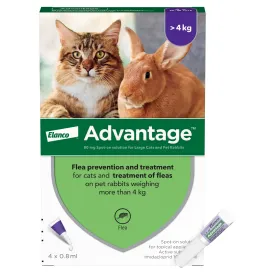 Advantage 80 Spot On Flea Control - Large Cats & Rabbits > 4kg (4 Pipettes)