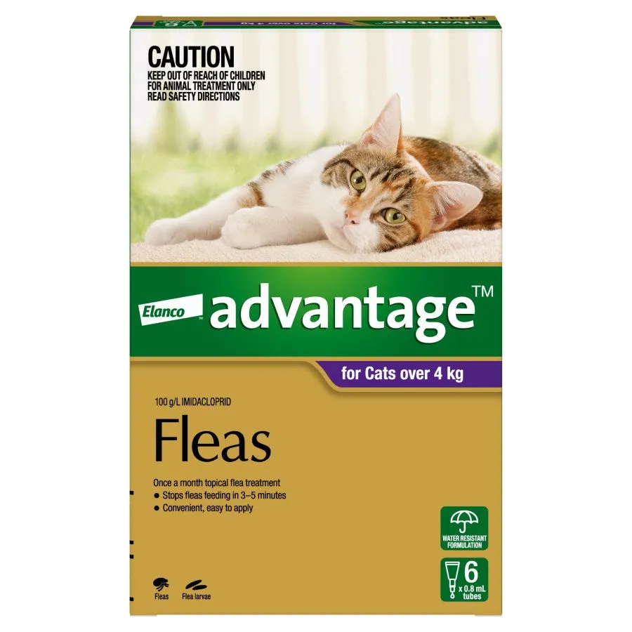 Advantage Cat Large Purple