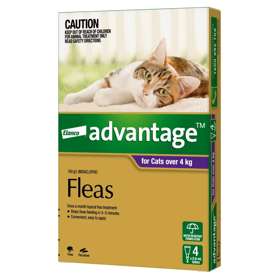 Advantage Cat Large Purple