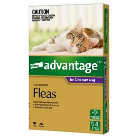 Advantage Cat Large Purple