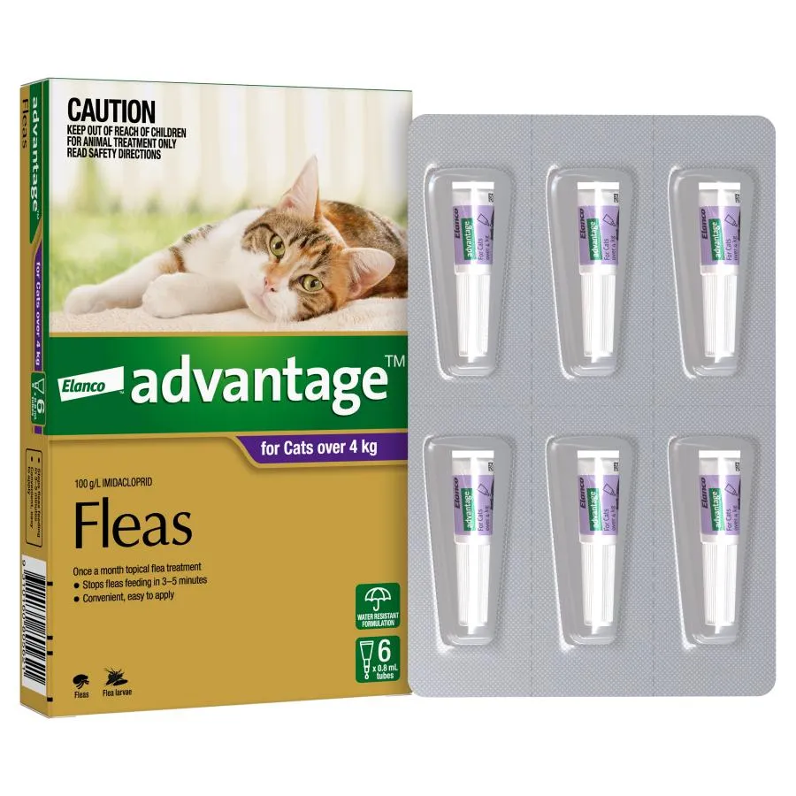 Advantage Cat Large Purple
