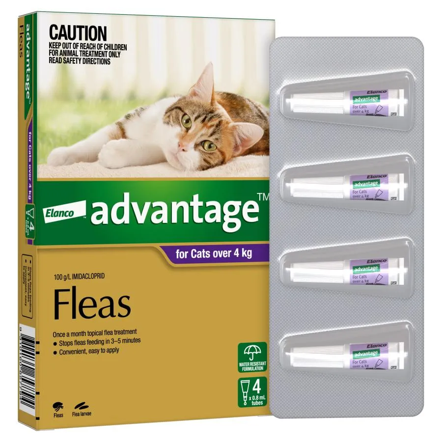 Advantage Cat Large Purple