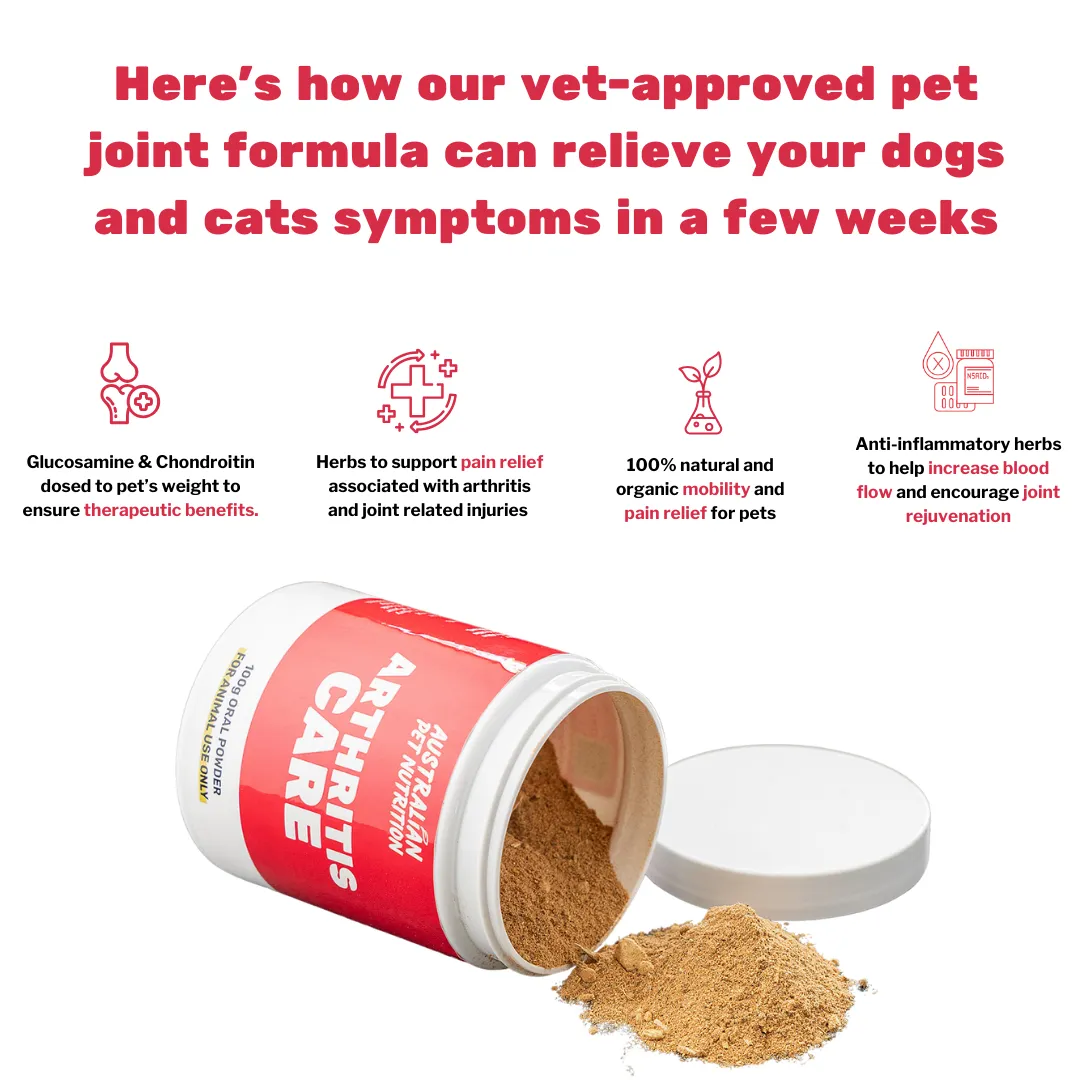 Arthritis Care 100g