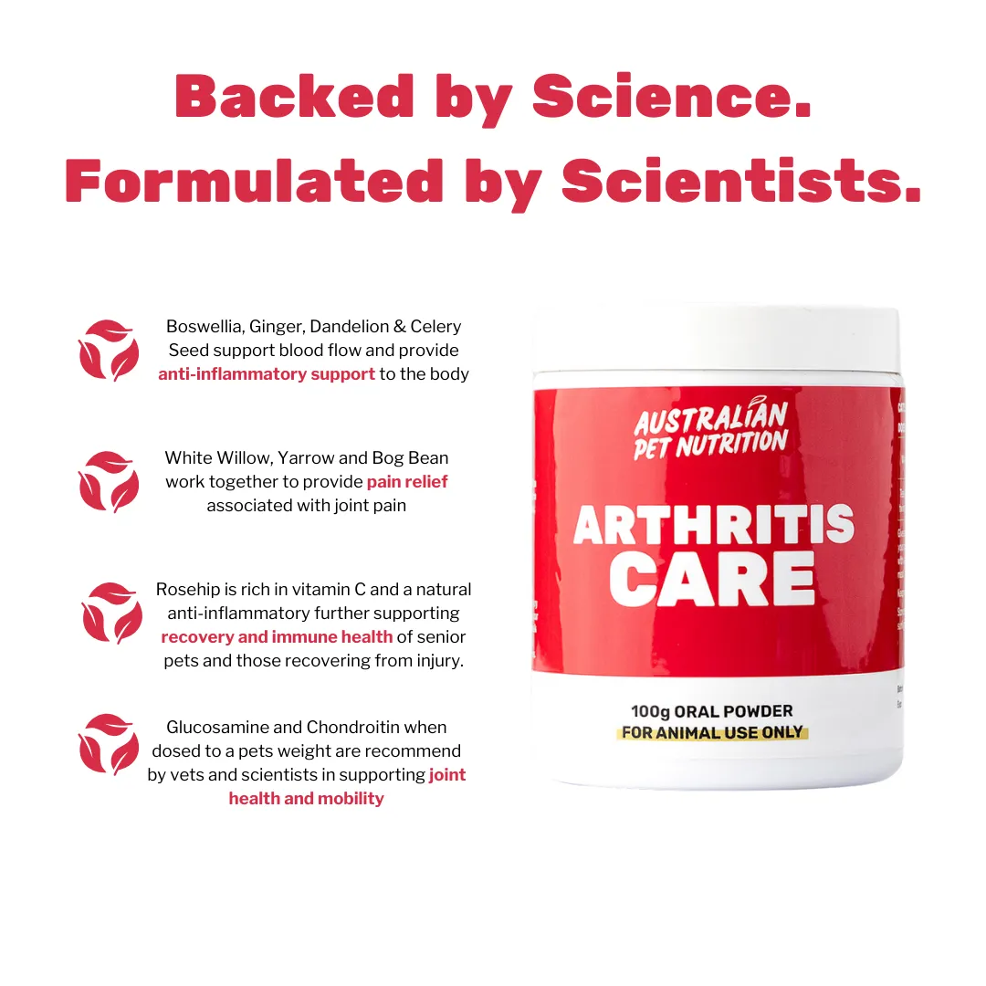 Arthritis Care 100g
