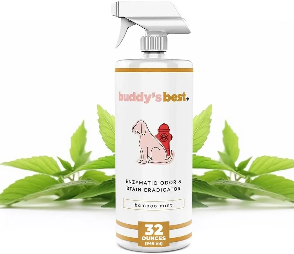 Buddy's Best Pet Urine Odor Eliminator and Pet Stain Remover- Bamboo Mint - Enzymatic Dog Urine Smell Remover and Deodorizer - Urine Enzyme Carpet Cleaner - Stain and Odor Remover for Dogs 32 fl oz