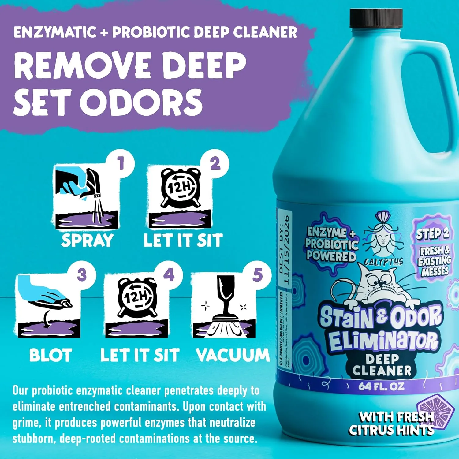 Calyptus Pet Stain and Odor Remover | Orange and Enzyme Cleaner Duo Solution for Pets | 128oz (64oz x 2 Bottles) | Carpet Cleaner and Odor Eliminator for Cat Urine, Dog Pee, and Poop | Pro Strength