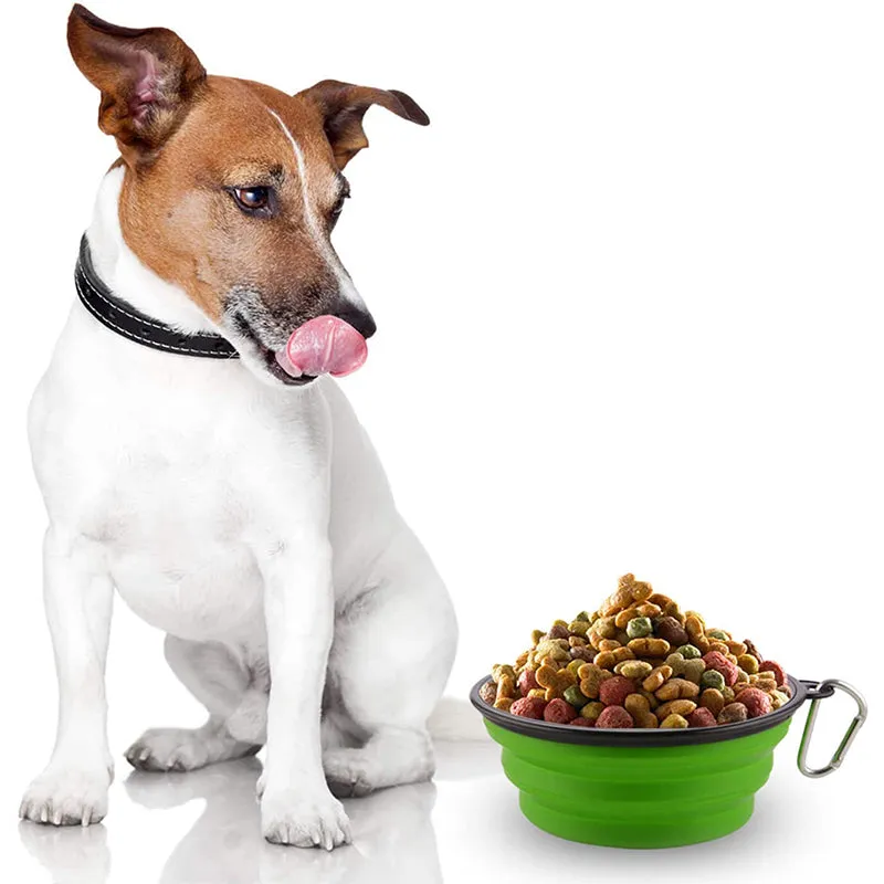 Collapsible Silicone Bowl for Dogs - 350ml
