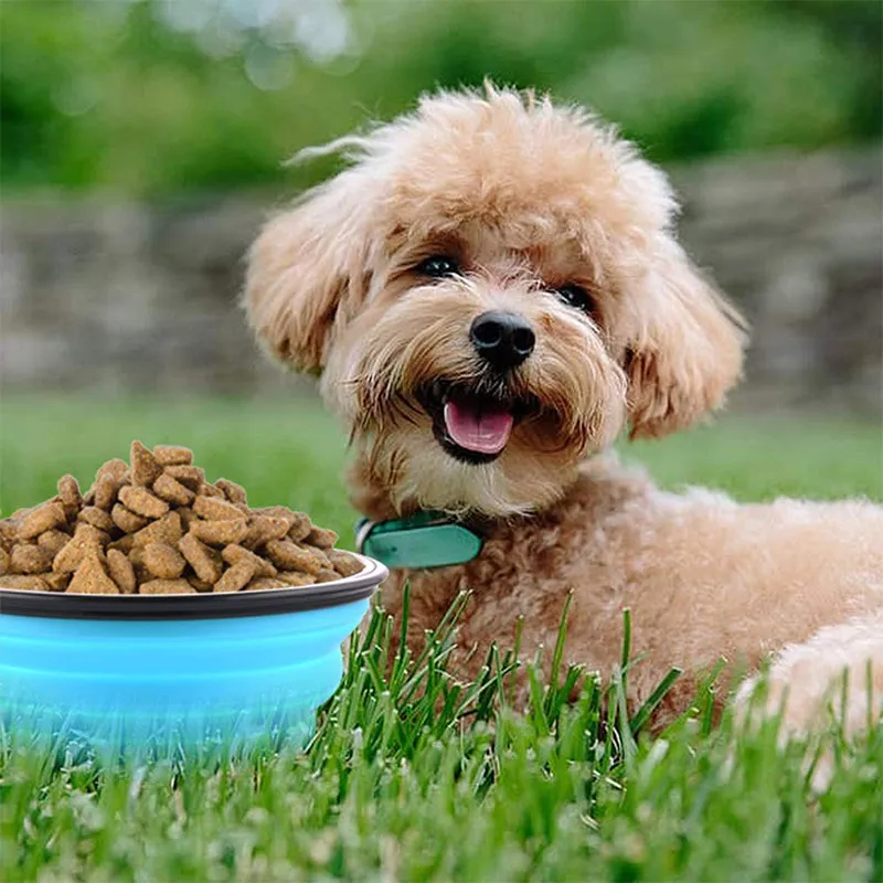 Collapsible Silicone Bowl for Dogs - 350ml