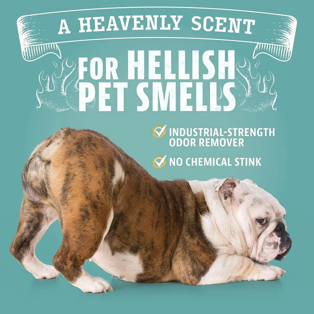 Complete Pet Stain and Odor Pack