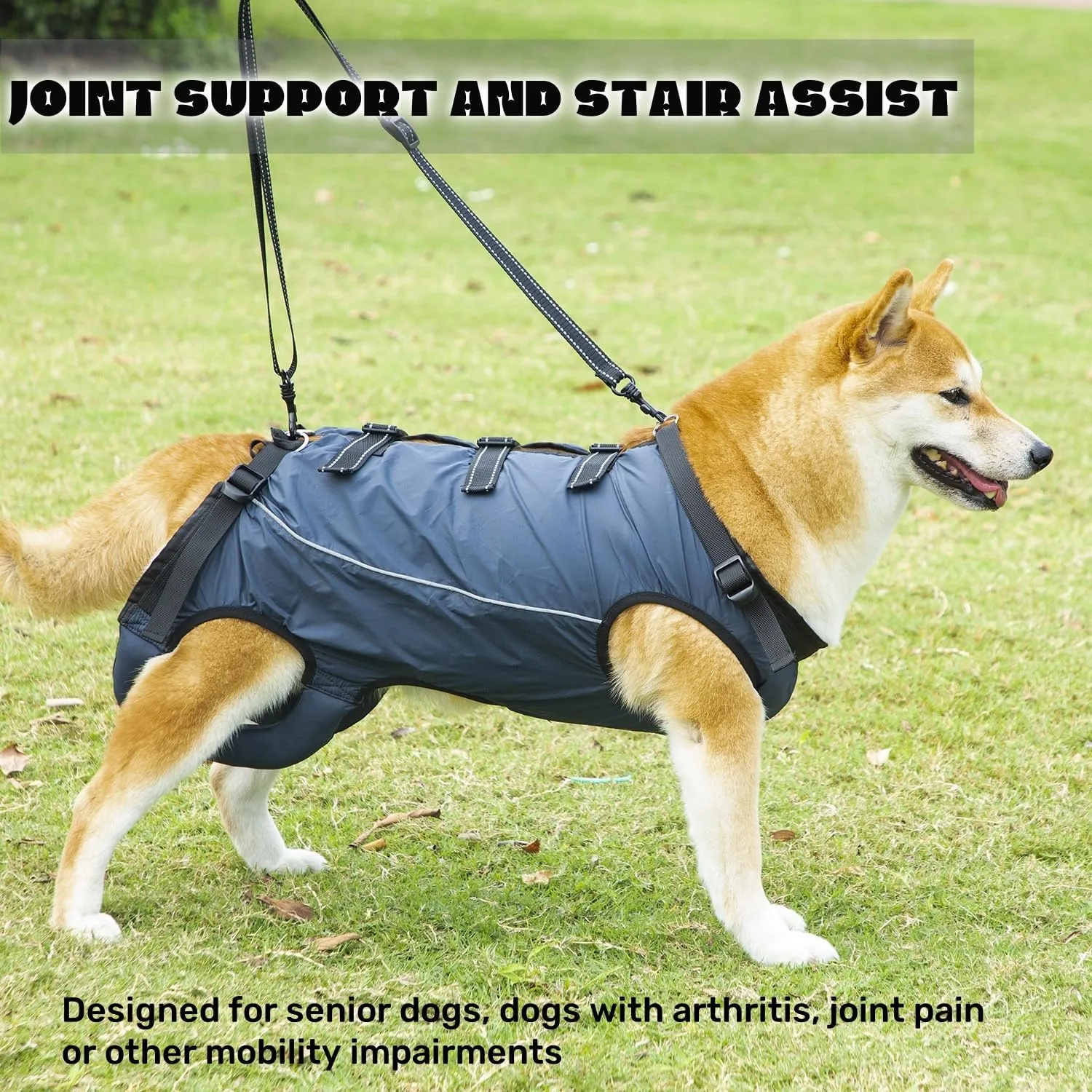 Dog Lift Harness,Dog Assistance Strap,Pet Support & Rehabilitation Sling Lift,Adjustable Padded Breathable Straps for Senior,Joint Injuries,Disabled Dogs Yellow S