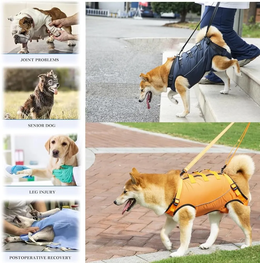 Dog Lift Harness,Dog Assistance Strap,Pet Support & Rehabilitation Sling Lift,Adjustable Padded Breathable Straps for Senior,Joint Injuries,Disabled Dogs Yellow S