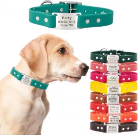 dogIDs ScruffTag Personalized Waterproof Dog Collar, Made in USA - Soft Grip Biothane, Adjustable, Odor Resistant, Custom Laser Engraved Name Plate - Teal, 1 in x 18 in (Fits Neck Sizes 16-20 in)