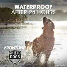 FRONTLINE TRI ACT SPOT ON FLEA TREATMENT FOR DOGS 5-10KG 1CT - FTASOFTFD1