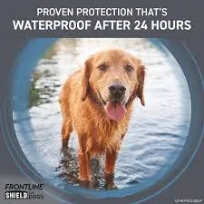 FRONTLINE TRI ACT SPOT ON FLEA TREATMENT FOR DOGS 5-10KG 1CT - FTASOFTFD1