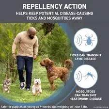 FRONTLINE TRI ACT SPOT ON FLEA TREATMENT FOR DOGS 5-10KG 1CT - FTASOFTFD1