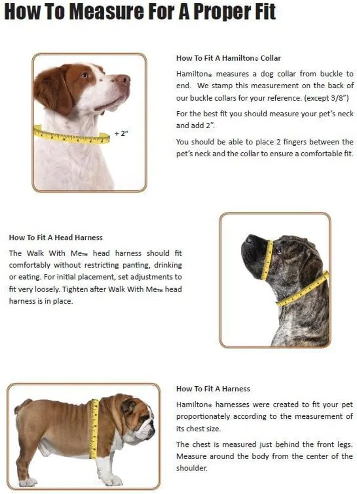 Hamilton Adjustable Comfort Nylon Dog Harness, Blue, 5/8" x 12-20"