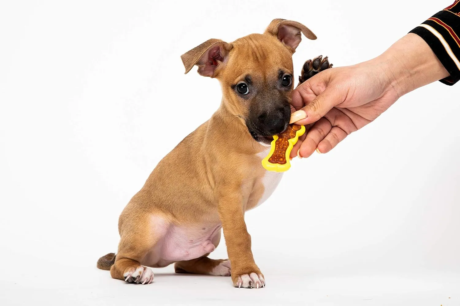 Hartz Chew 'n Clean Dental Duo Bacon Flavored Dental Dog Chew Toy and Treat - Extra Small