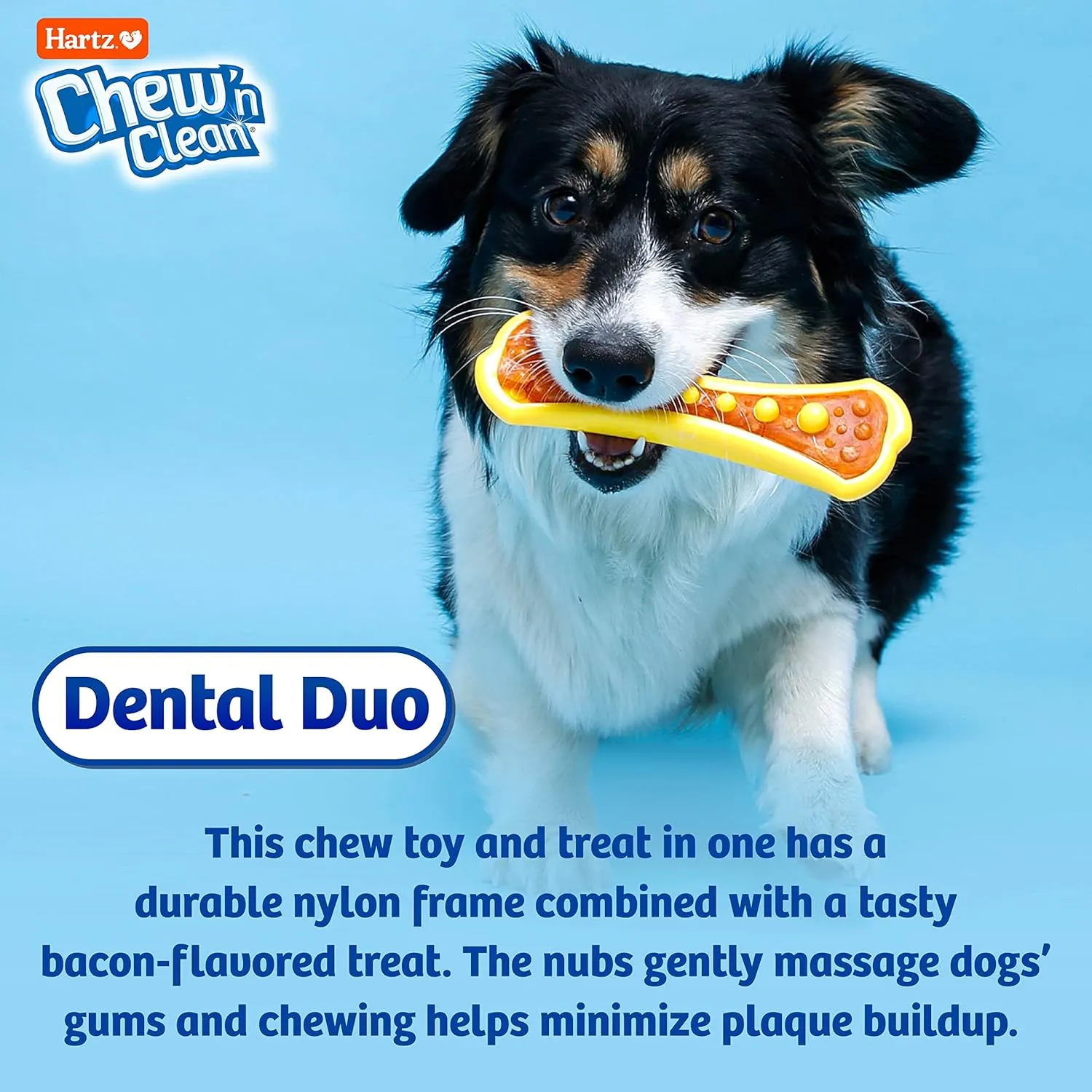 Hartz Chew 'n Clean Dental Duo Bacon Flavored Dental Dog Chew Toy and Treat - Extra Small