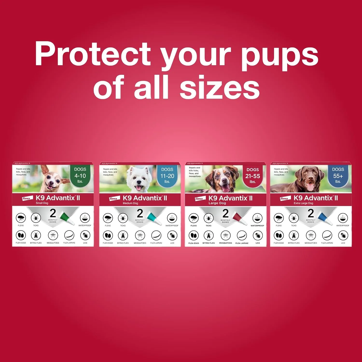 K9 Advantix II Medium Dog Vet-Recommended Flea, Tick & Mosquito Treatment & Prevention | Dogs 11-20 lbs. | 2-Mo Supply