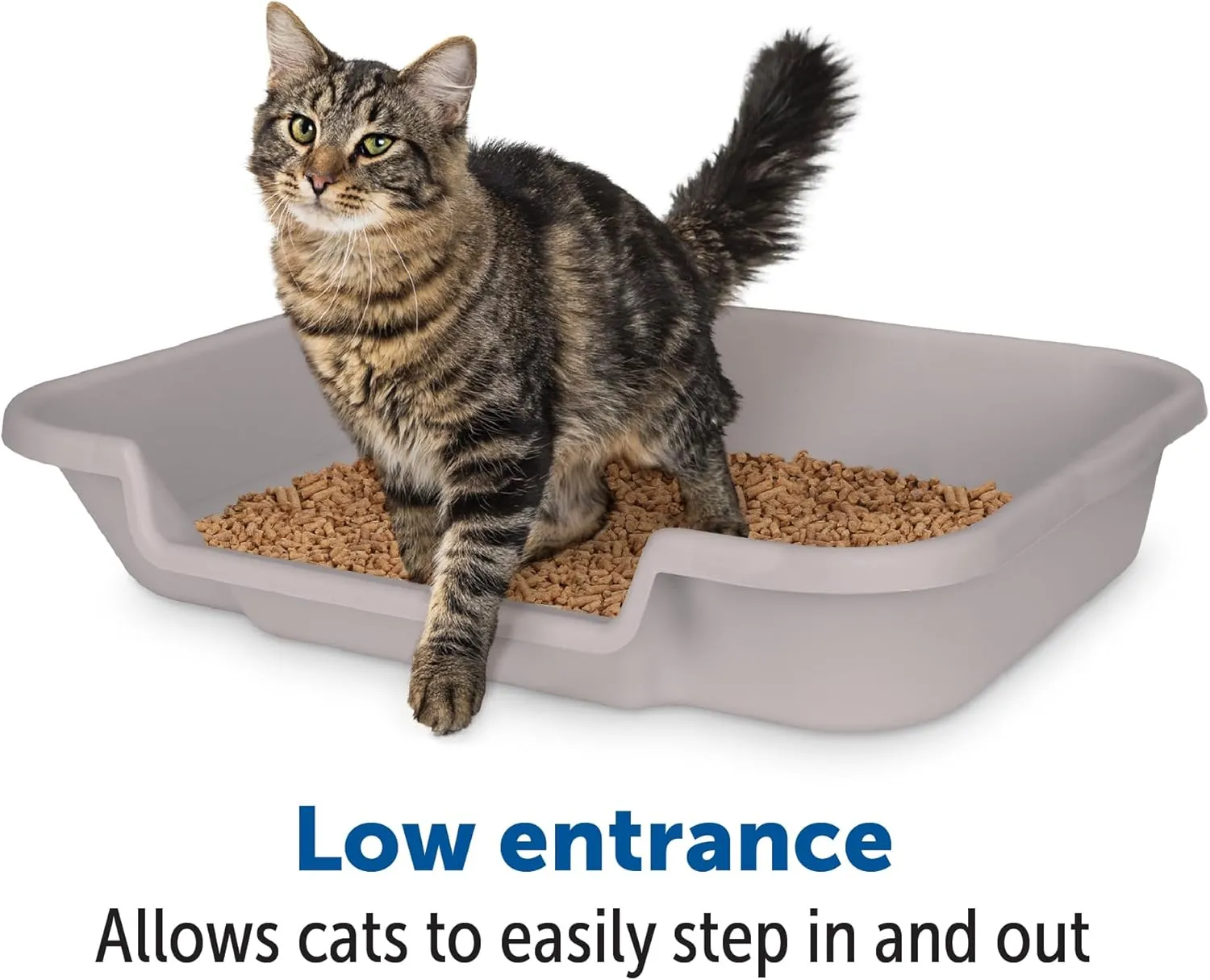 KittyGoHere Senior Cat Litter Box 2 Pack, Large Misty Gray Low Entrance Kitty Litter Box, Sized for Cats Comfort, Perfect for Senior and Arthritic Cats, Made in USA