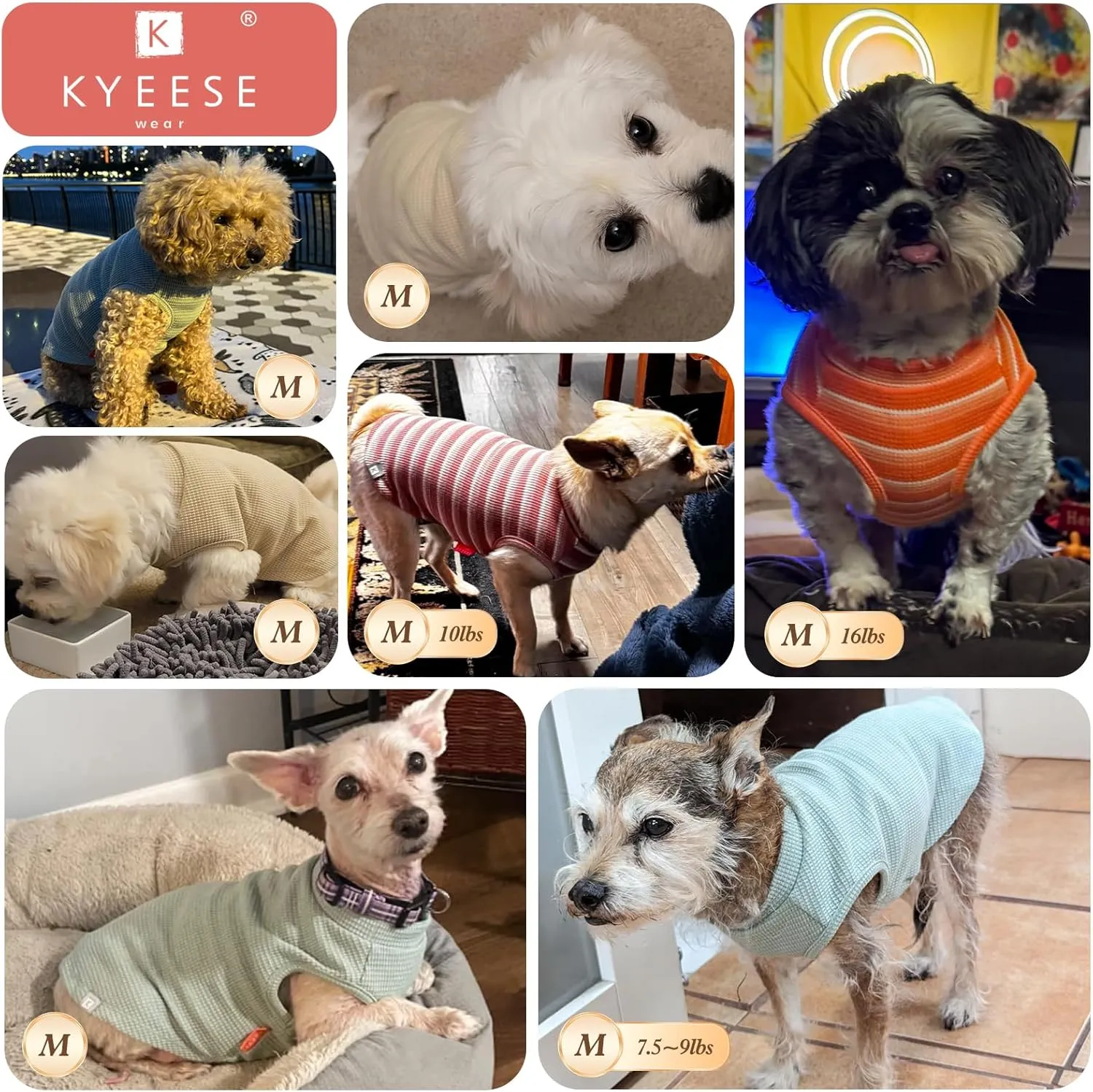 KYEESE 2Pack Dog Shirts Waffle for Small Dogs, Stretchy T-Shirts, Lightweight Tank Top, Sleeveless Vest, Breathable Cat Shirt, Medium, Purple   Grey