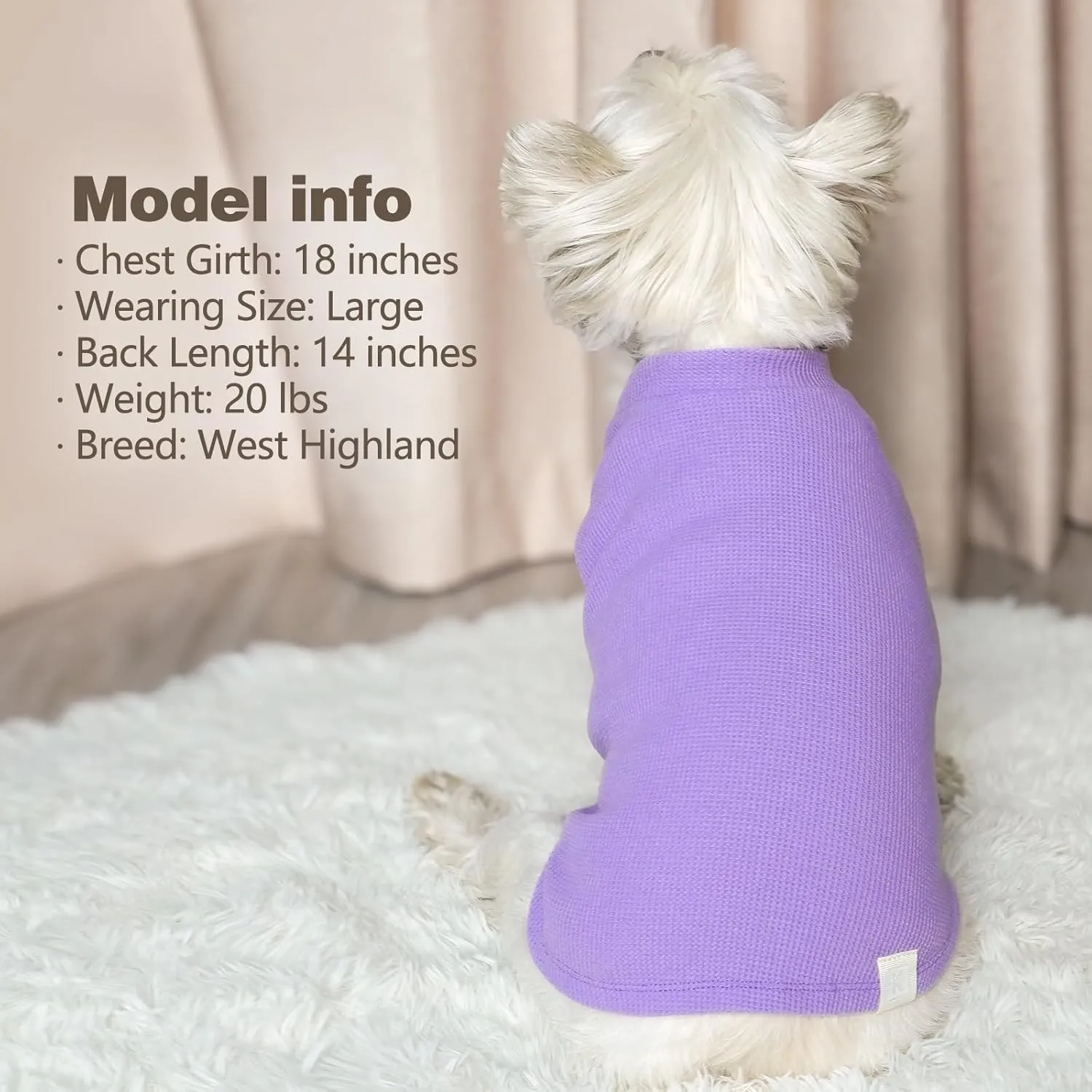 KYEESE 2Pack Dog Shirts Waffle for Small Dogs, Stretchy T-Shirts, Lightweight Tank Top, Sleeveless Vest, Breathable Cat Shirt, Medium, Purple   Grey