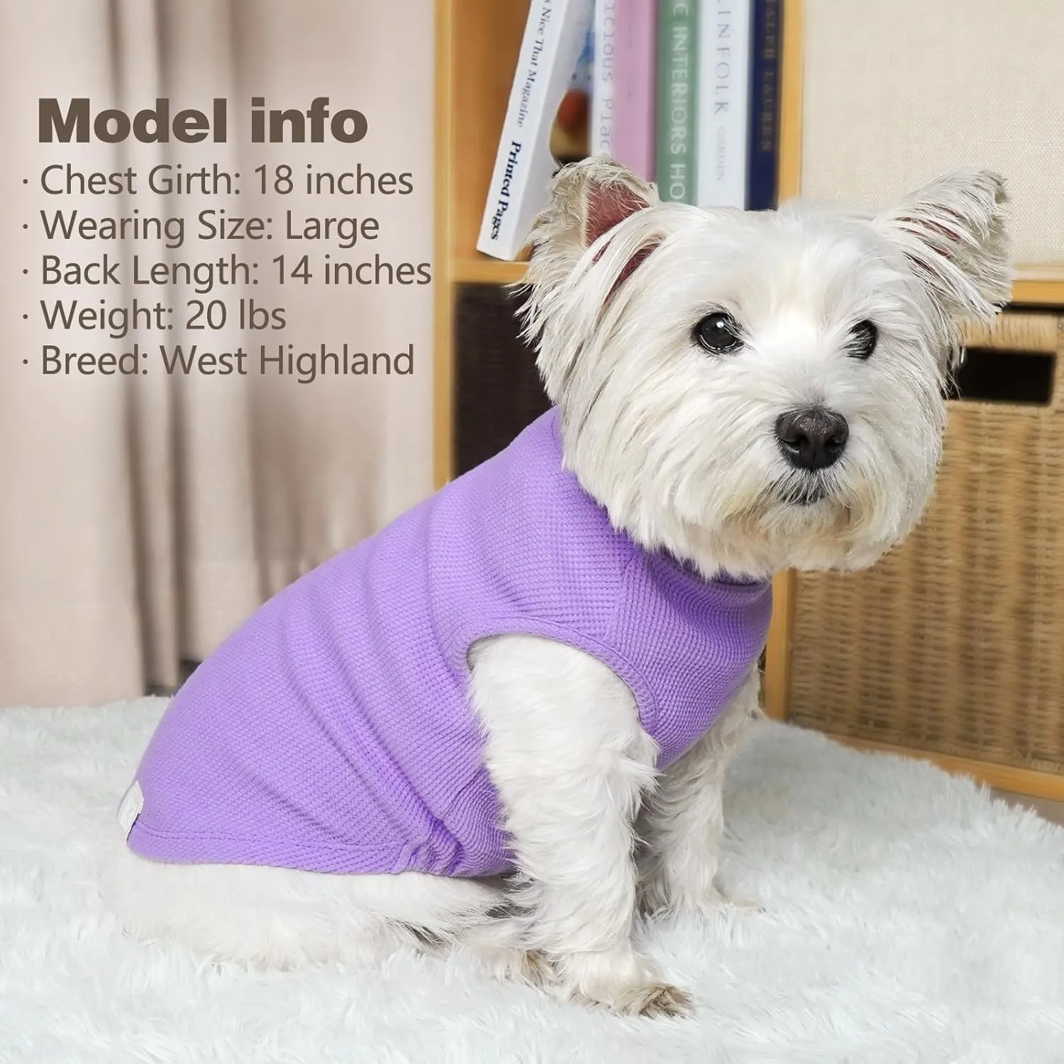 KYEESE 2Pack Dog Shirts Waffle for Small Dogs, Stretchy T-Shirts, Lightweight Tank Top, Sleeveless Vest, Breathable Cat Shirt, Medium, Purple   Grey
