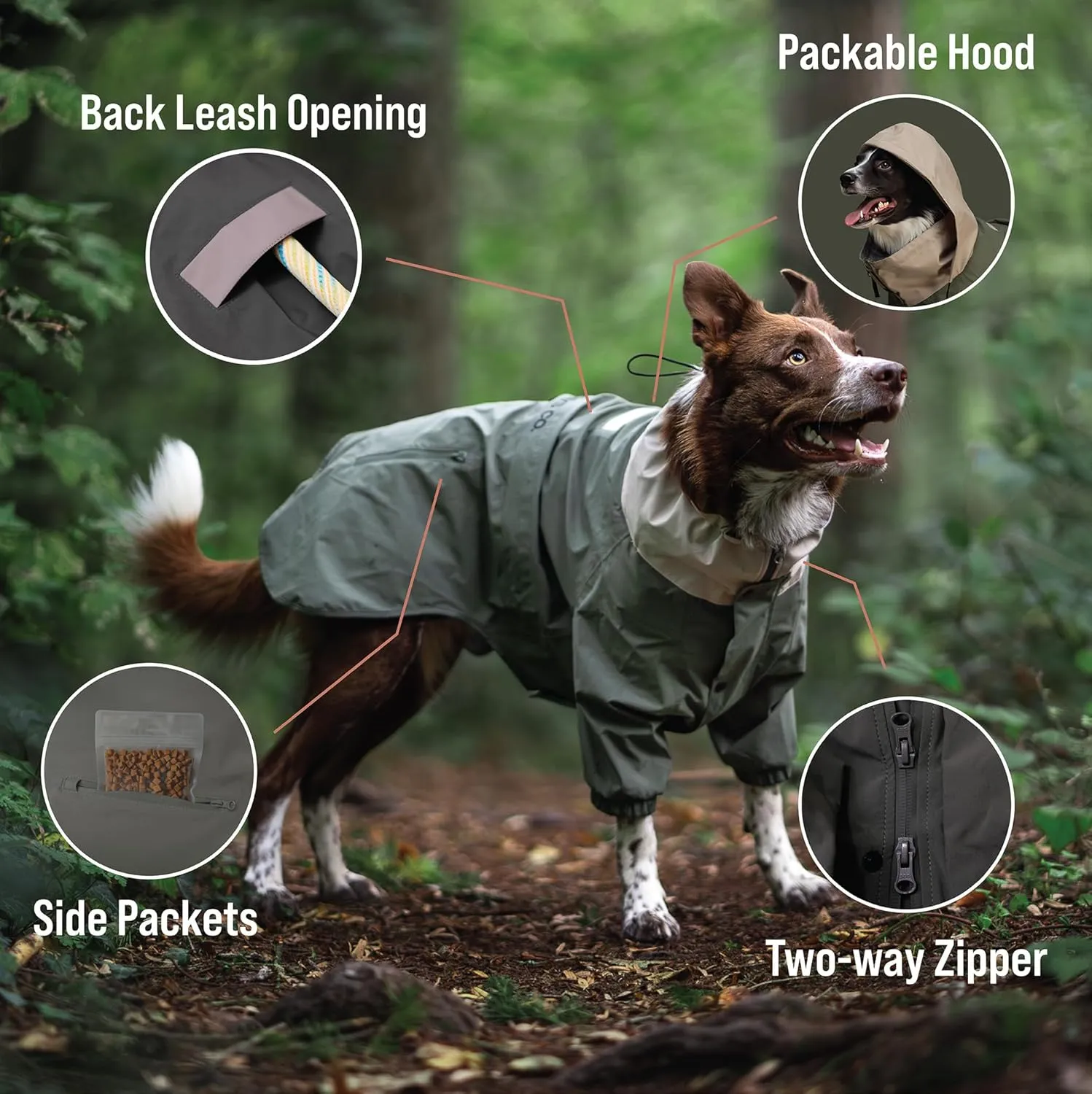 Midnight Forest Water-Resistant Dog Jacket - Lightweight and Adjustable | Dog Raincoat with Packable Hood | Large (L)
