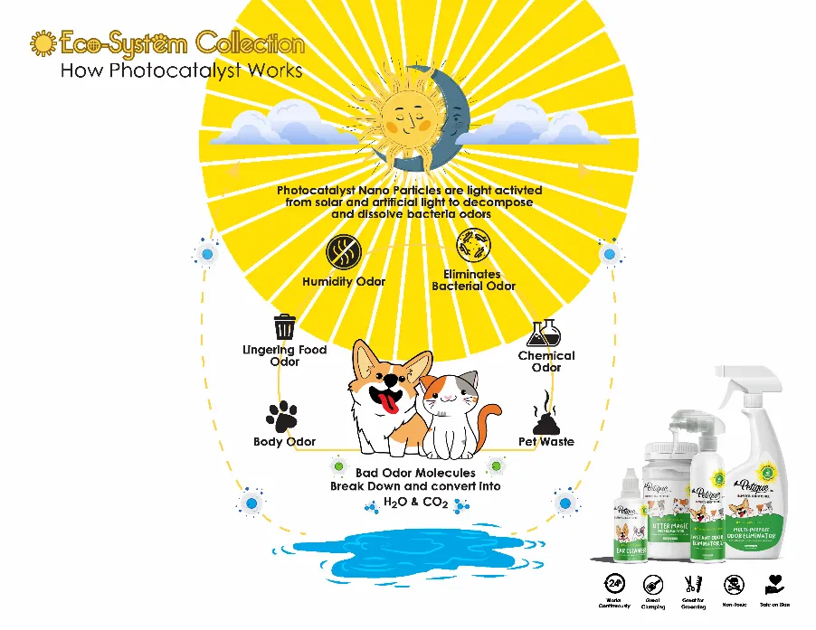 Multi-Purpose Odor Eliminator with Photocatalyst Technology