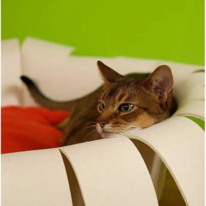 Orthopedic Cat Bed By Pet Interiors- Cream Felt Crown