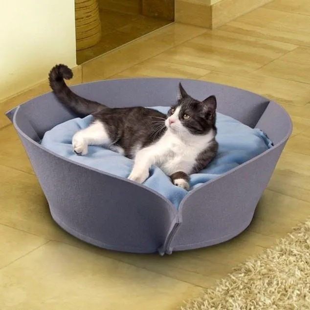 Orthopedic Pet Bed By Pet Interiors- Nook Felt