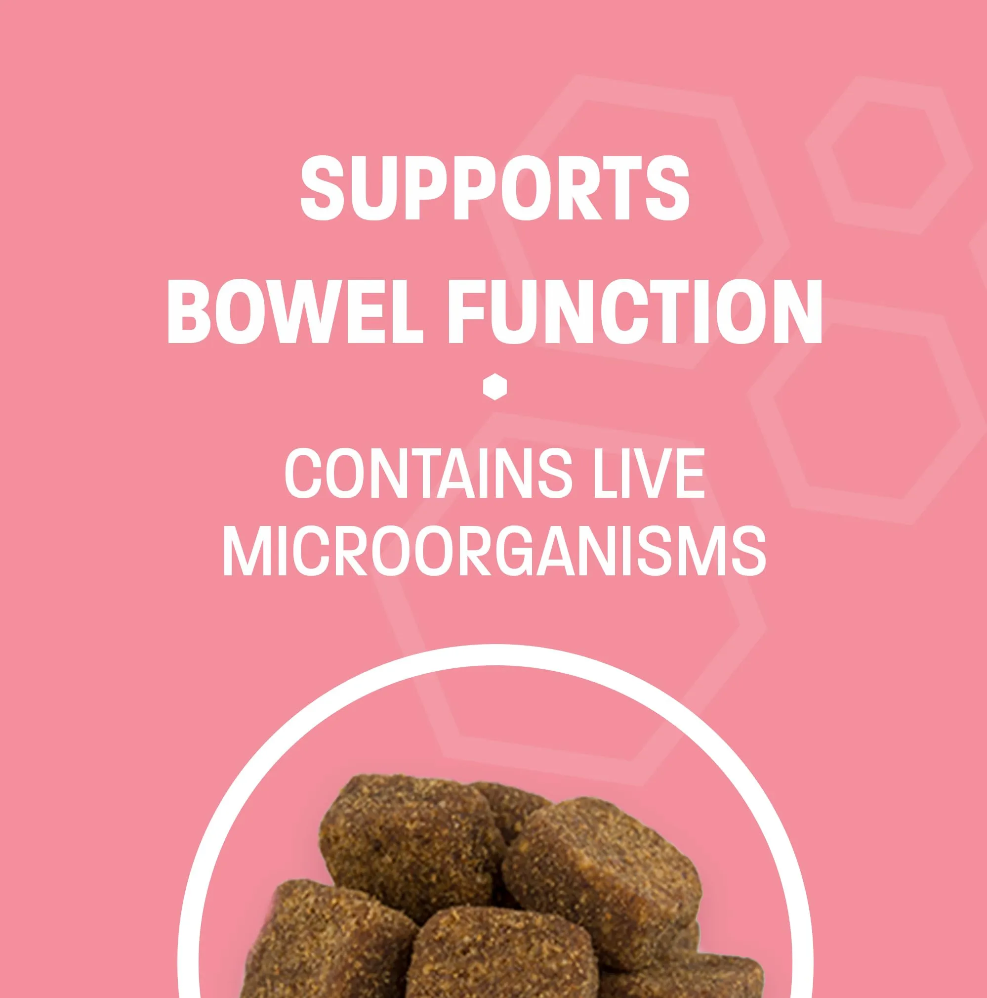 Pet Health Pros Advanced Probiotics for Dogs - Probiotic Soft Chew for Upset Stomach, Diarrhea & Constipation Relief - Promotes Happy Gut, Happy Dog - 60 ct