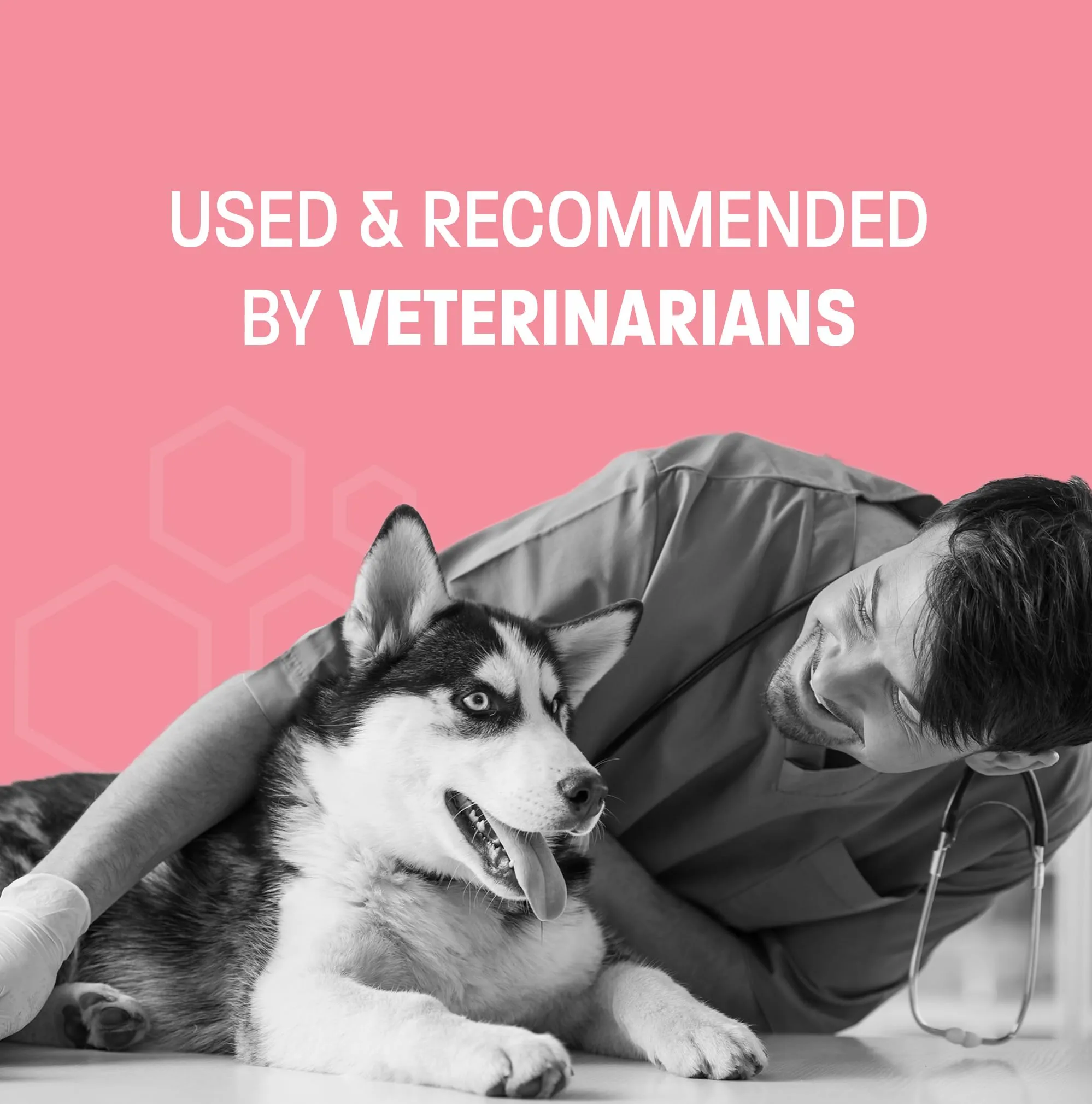 Pet Health Pros Advanced Probiotics for Dogs - Probiotic Soft Chew for Upset Stomach, Diarrhea & Constipation Relief - Promotes Happy Gut, Happy Dog - 60 ct