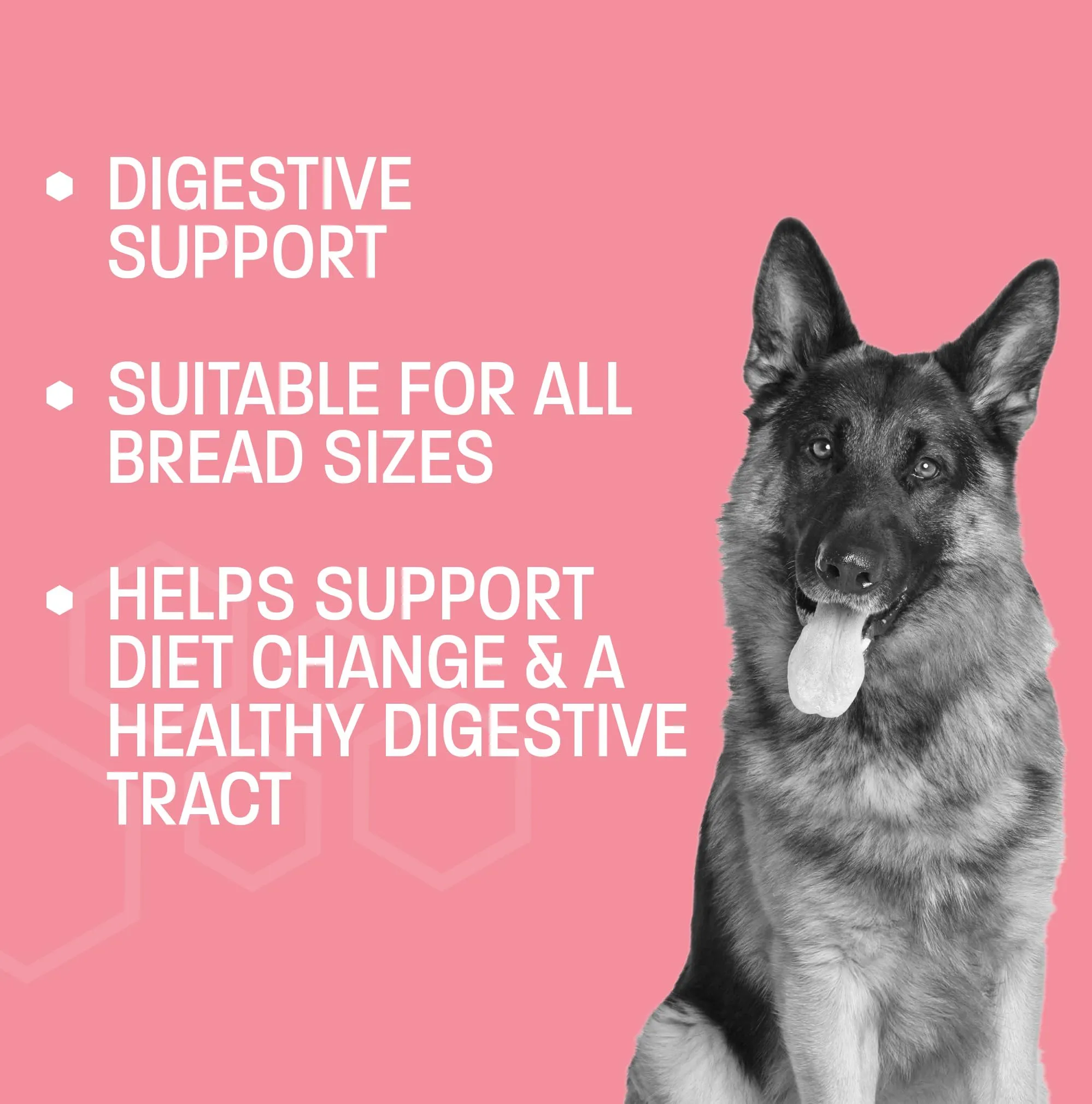 Pet Health Pros Advanced Probiotics for Dogs - Probiotic Soft Chew for Upset Stomach, Diarrhea & Constipation Relief - Promotes Happy Gut, Happy Dog - 60 ct