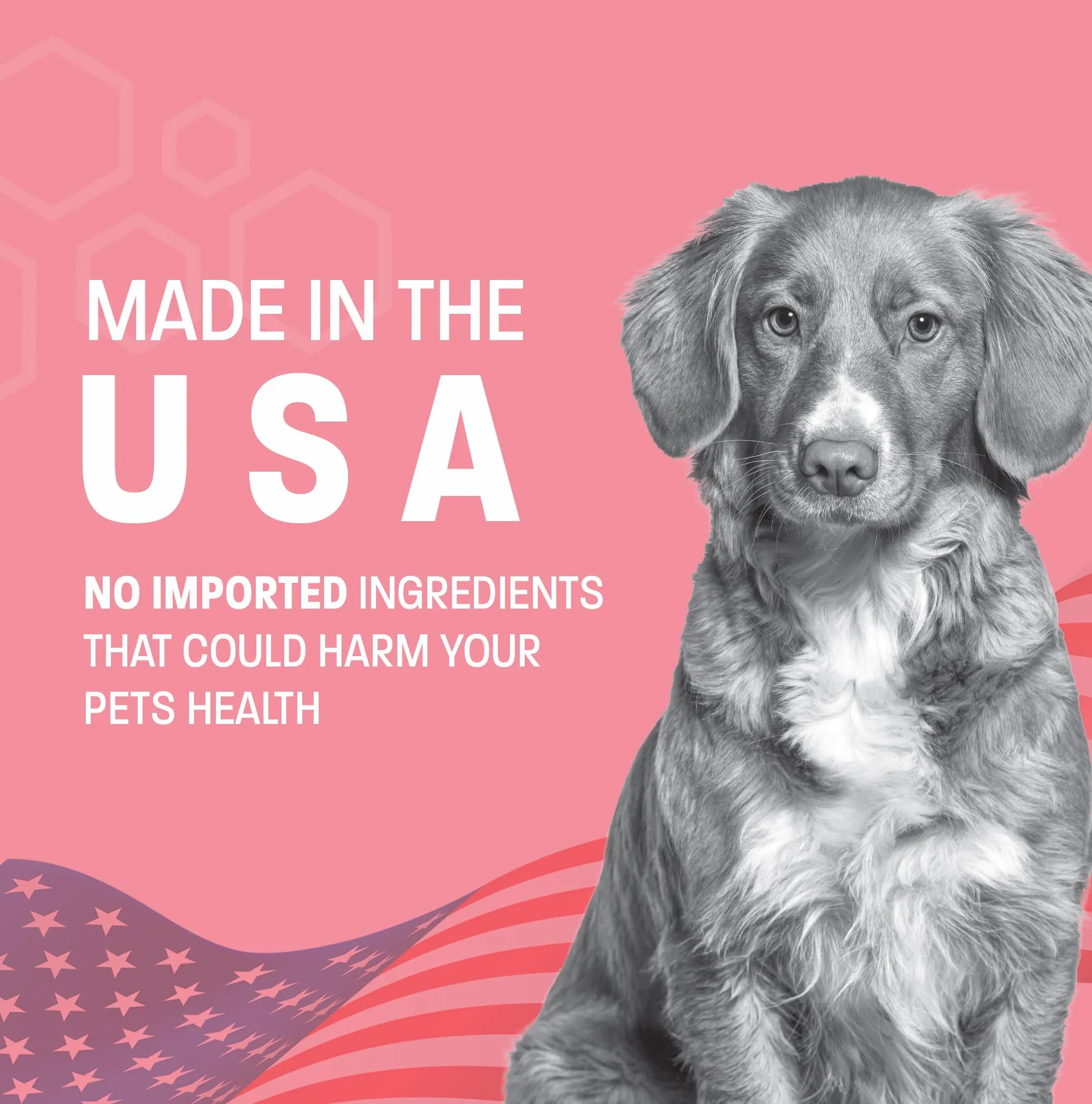 Pet Health Pros Advanced Probiotics for Dogs - Probiotic Soft Chew for Upset Stomach, Diarrhea & Constipation Relief - Promotes Happy Gut, Happy Dog - 60 ct