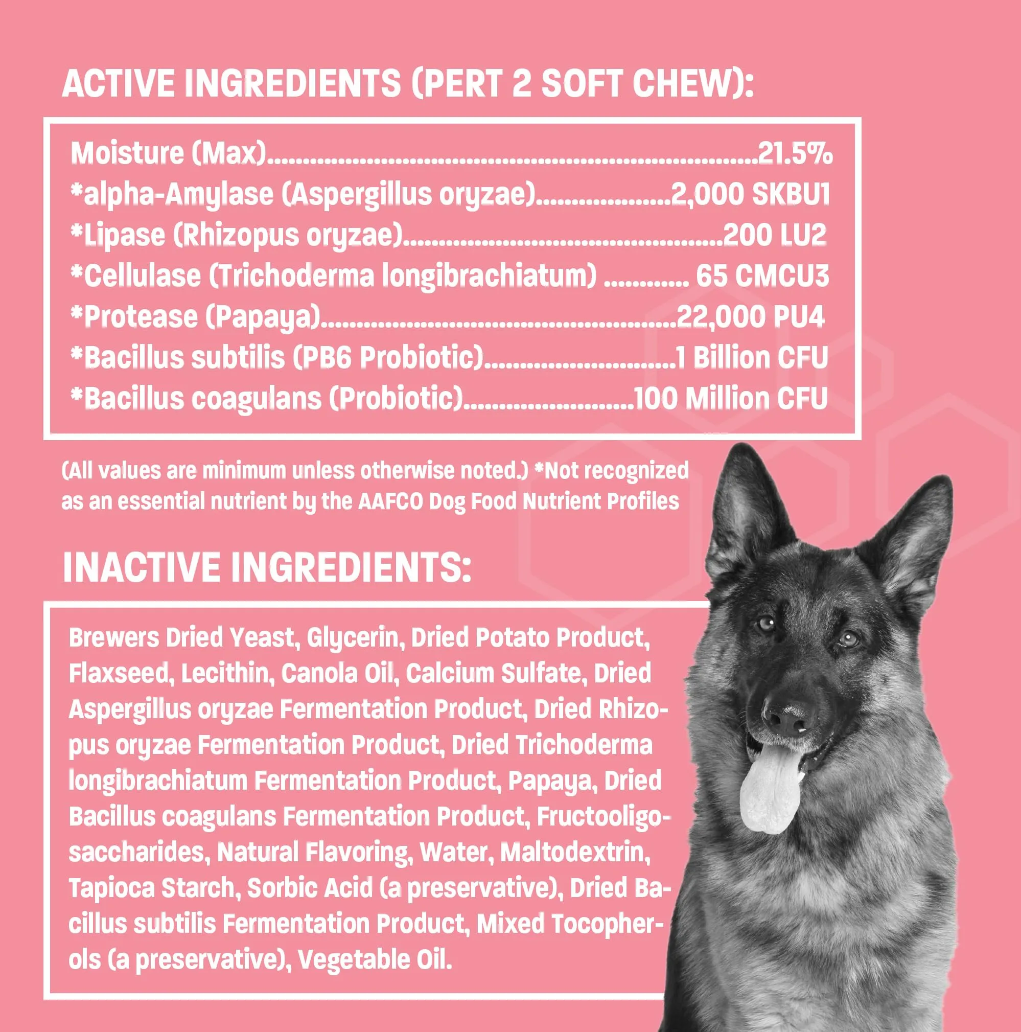 Pet Health Pros Advanced Probiotics for Dogs - Probiotic Soft Chew for Upset Stomach, Diarrhea & Constipation Relief - Promotes Happy Gut, Happy Dog - 60 ct