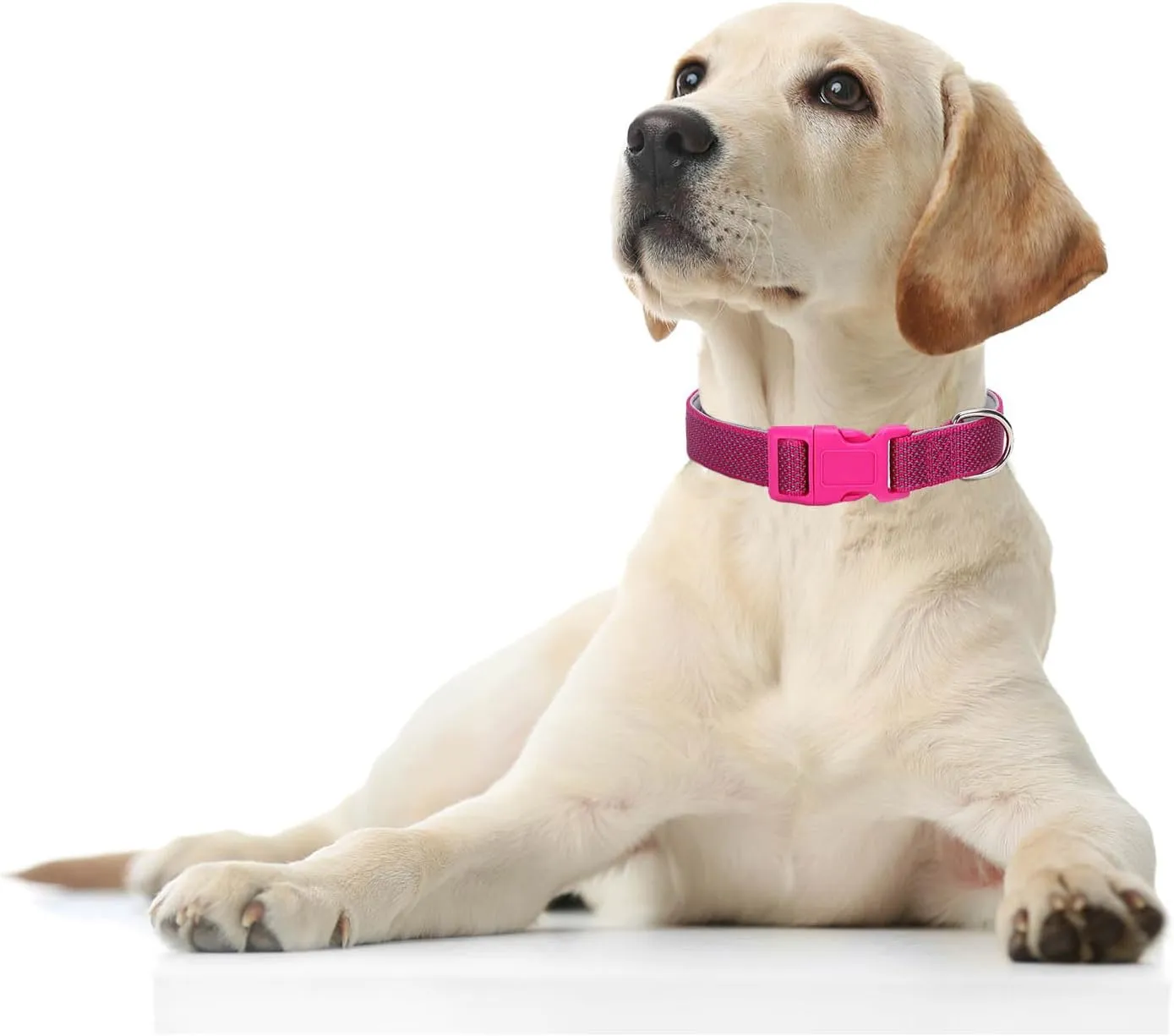 Reflective Dog Collar Padded-4 Size, Breathable Nylon Soft Neoprene Pet Collar for Small Medium and Large Dogs (Rose red, M)