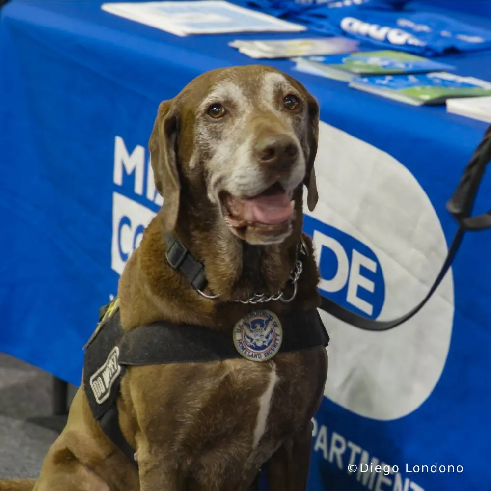 Send Critical Supplies to Veterans & Pets Experiencing Homelessness