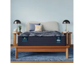 Serta Perfect Sleeper X Excelled Plush Full Mattress