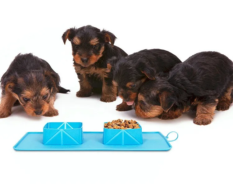 Waterproof Silicone Collapsible Dual-Use Bowl For Pet